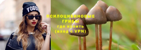 мяу мяу мука Надым