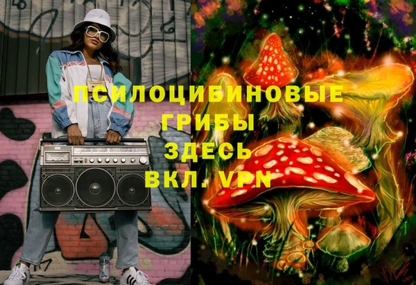 мяу мяу мука Надым