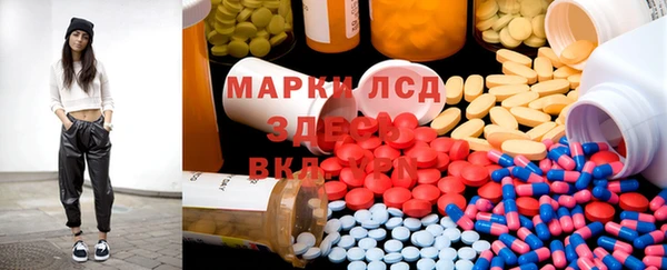 мяу мяу мука Надым