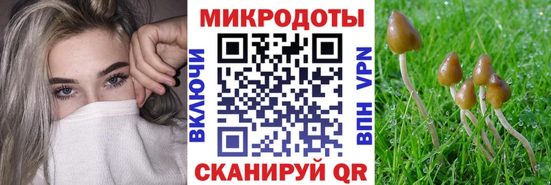 Псилоцибиновые грибы GOLDEN TEACHER  Рыльск 